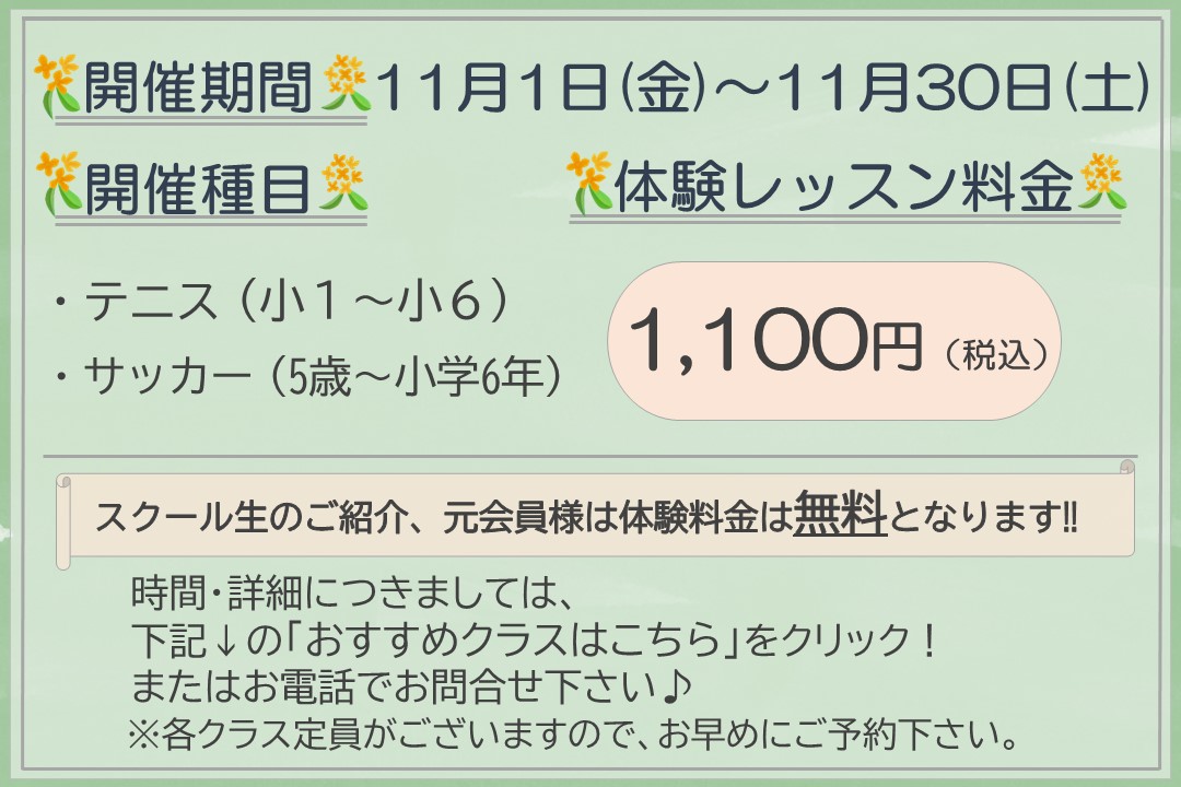 【子ども種目】秋の体験レッスン受付中‼